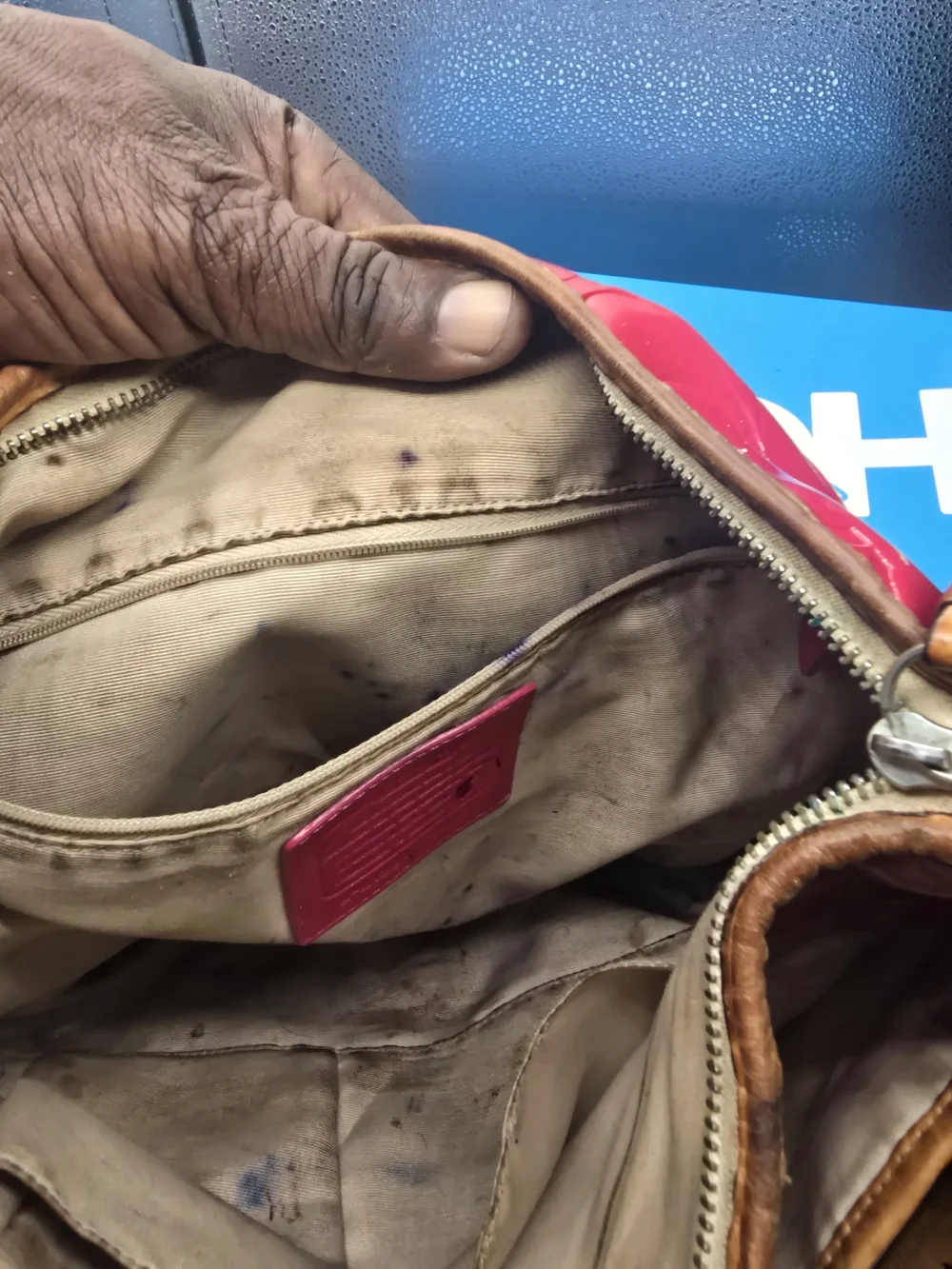 Coach shoulder bag